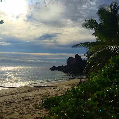 Villas Du Voyageur Grand Anse  Eksteriør billede
