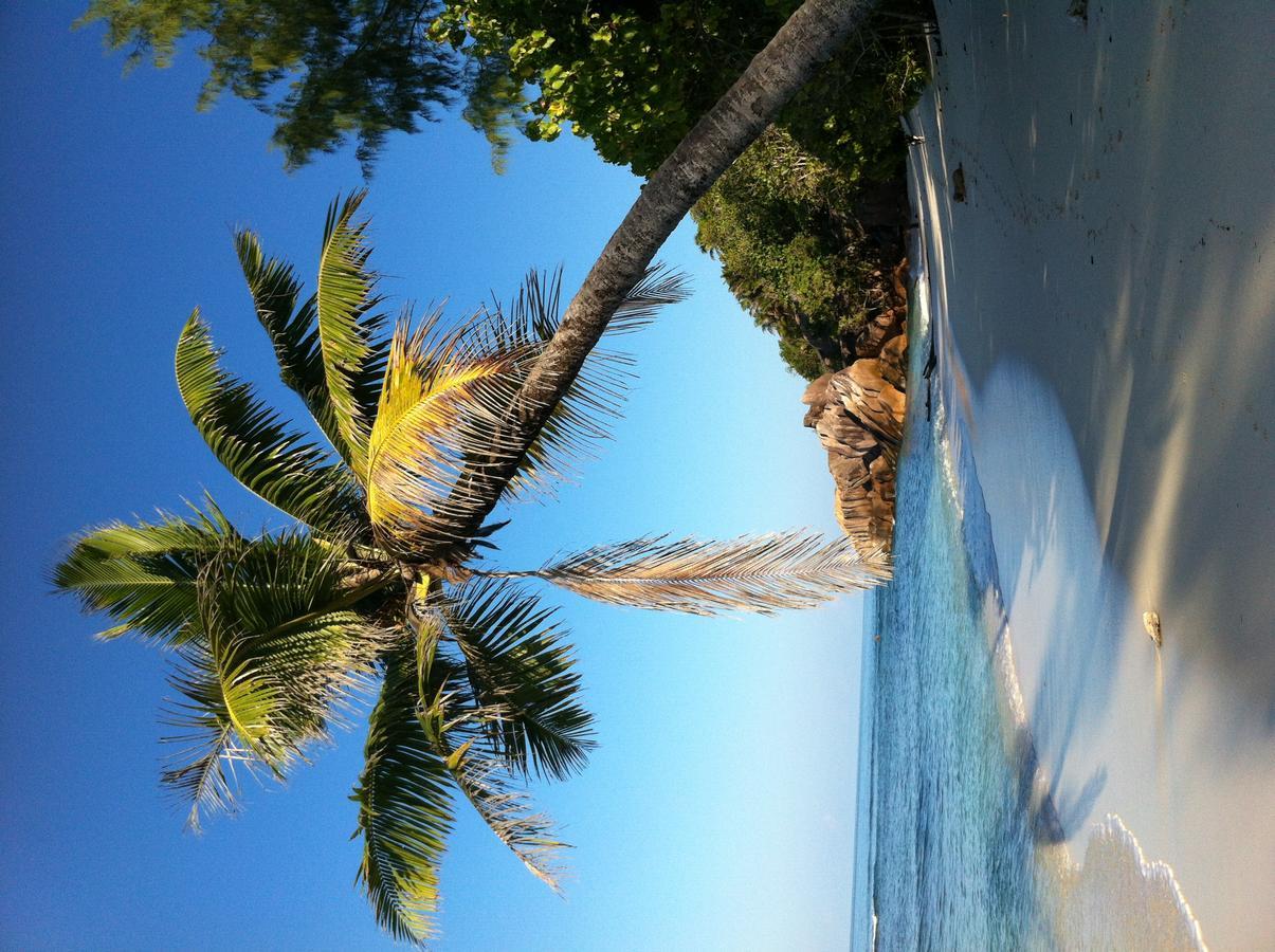 Villas Du Voyageur Grand Anse  Eksteriør billede