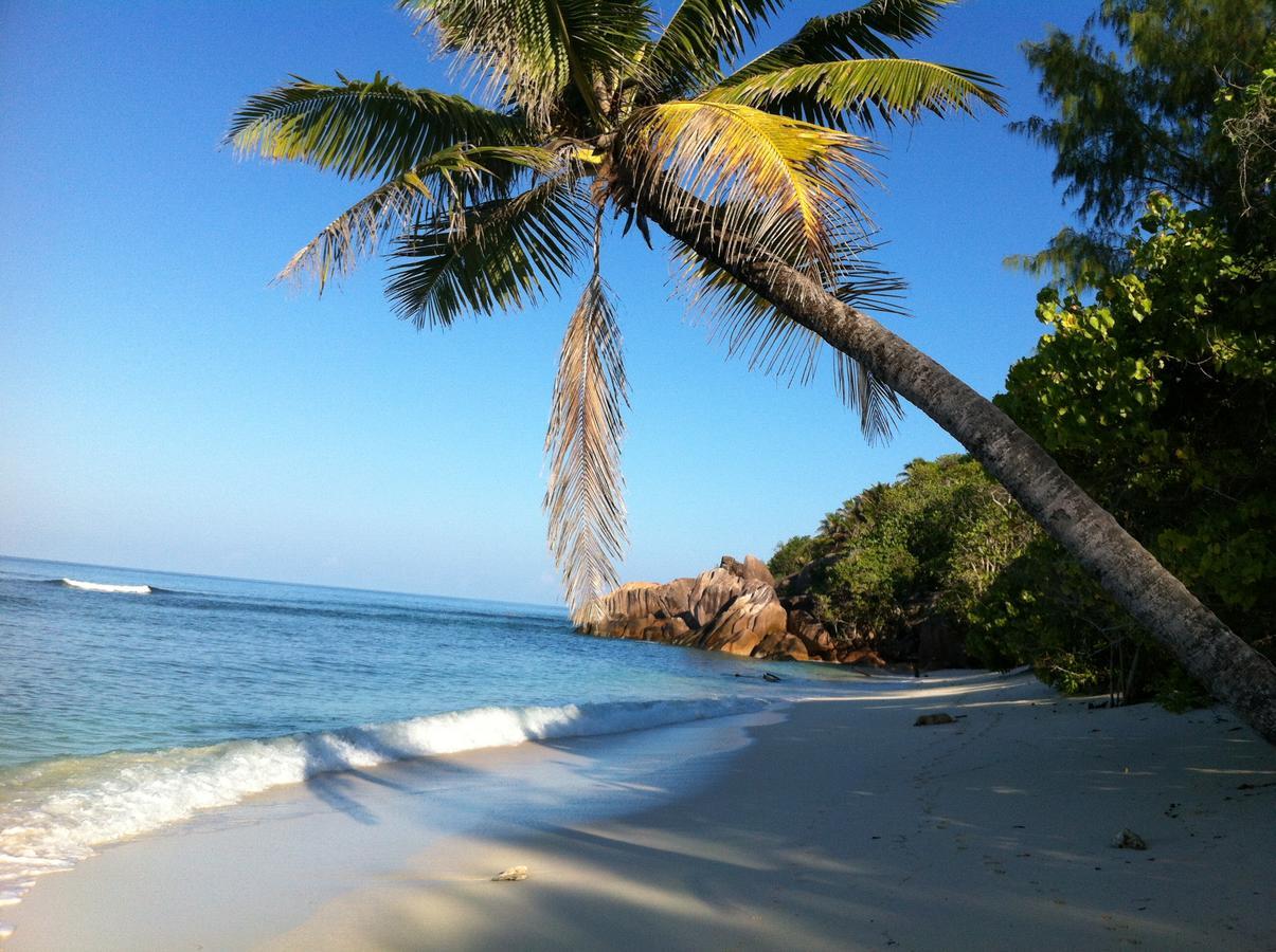Villas Du Voyageur Grand Anse  Eksteriør billede